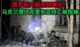 俄罗斯内部爆料视频,爆料视频揭露惊人真相